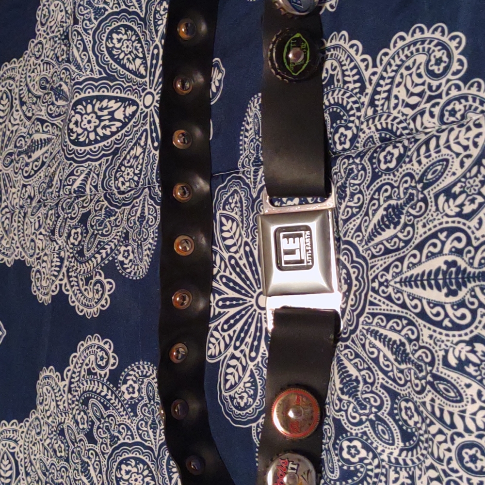 Little earth recycled seatbelt belt